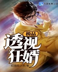 《极品透视狂婿》