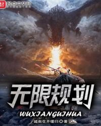 《無限規劃》