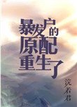暴發戶的前妻重生了[年代]