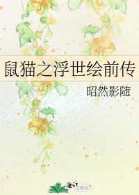 鼠猫之浮世绘前传