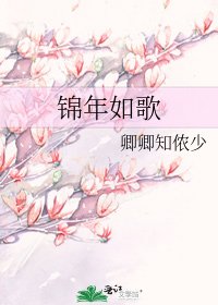 锦年如歌
