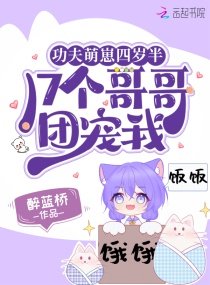 功夫萌崽四岁半,17个哥哥团宠我