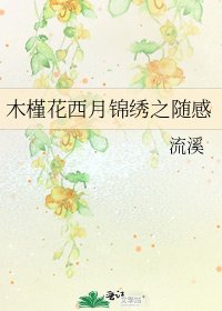 木槿花西月锦绣之随感