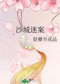 沙城迷案