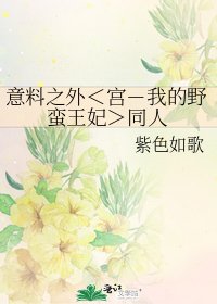 意料之外<宫-我的野蛮王妃>同人