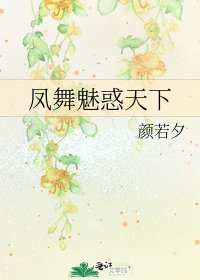 凤舞魅惑天下