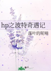 hp之波特奇遇记