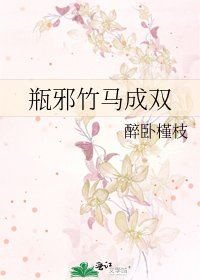 瓶邪竹马成双