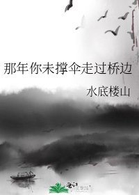 那年你未撑伞走过桥边