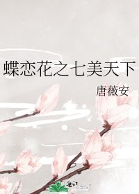 蝶恋花之七美天下