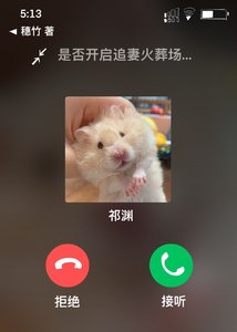 《虐文霸总穿成女主的仓鼠后》