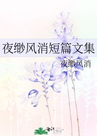《夜缈风消短篇文集》
