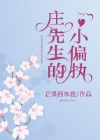 莊先生的小偏執