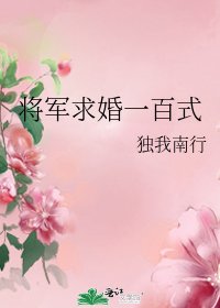 将军求婚一百式