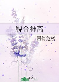 貌合神离