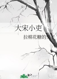 《大宋小吏》