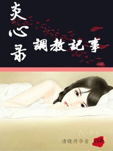 炎心录——调教记事