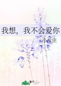 我想,我不會愛你