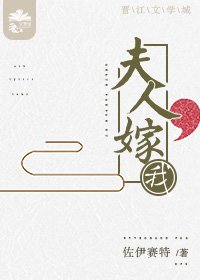 夫人,嫁我!