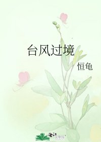 颱風過境