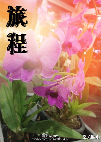 旅程