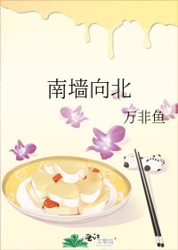 南墙向北
