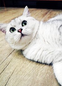 童话般美好