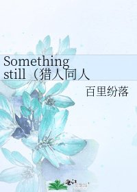 Something still(猎人同人)(新流星年华)