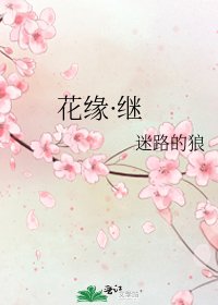 花缘·继