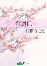 奇遇記