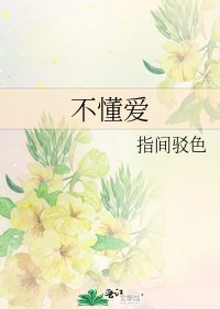 不懂爱