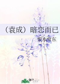 (袁成)暗恋而已
