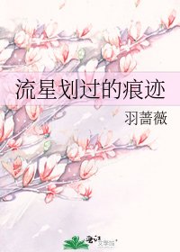 流星划过的痕迹