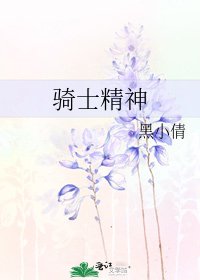 骑士精神