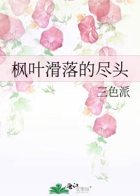 枫叶滑落的尽头