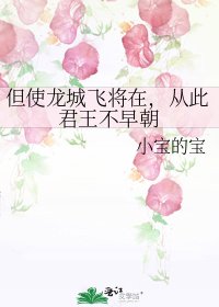但使龙城飞将在，从此君王不早朝