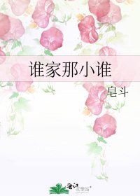 谁家那小谁