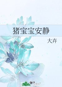 猪宝宝安静