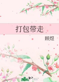 打包带走