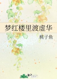 梦红楼里渡虚华