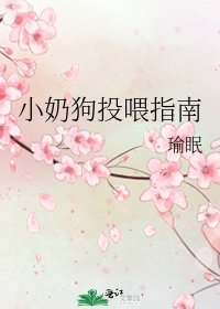 小奶狗投喂指南