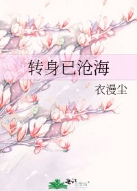 转身已沧海