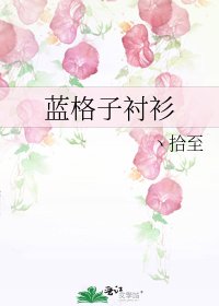 藍格子襯衫