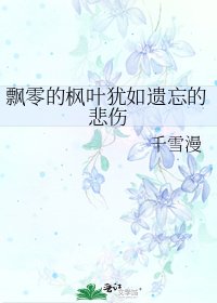 飘零的枫叶犹如遗忘的悲伤