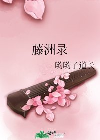 藤洲录