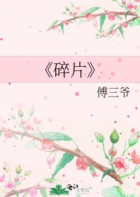 碎片