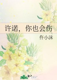 许诺,你也会伤