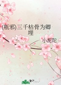 (瓶邪)三千枯骨為卿埋