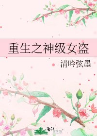 重生之神级女盗