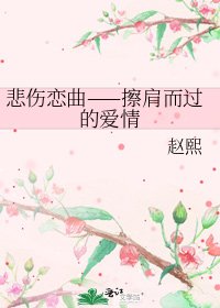 悲伤恋曲——擦肩而过的爱情